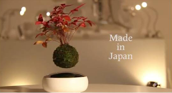 Cây[-]Bonsai[-]bay[-]“độc,[-]dị”[-]của[-]người[-]Nhật